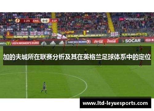 加的夫城所在联赛分析及其在英格兰足球体系中的定位