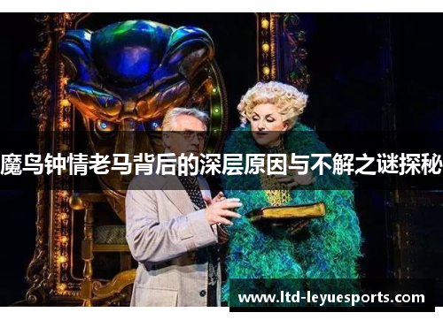 魔鸟钟情老马背后的深层原因与不解之谜探秘