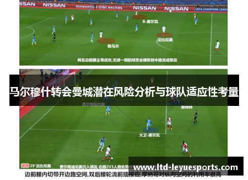 马尔穆什转会曼城潜在风险分析与球队适应性考量