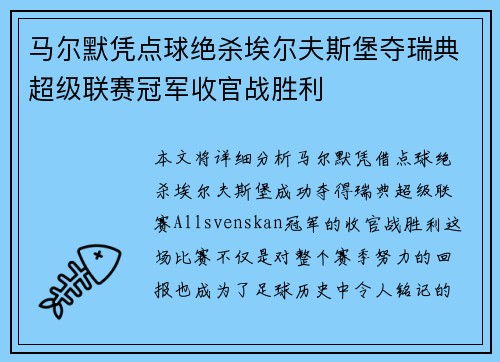 马尔默凭点球绝杀埃尔夫斯堡夺瑞典超级联赛冠军收官战胜利